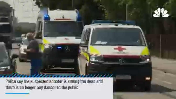 At least 10 killed in Austria school shooting