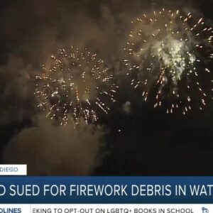 Environmental groups sue SeaWorld over Mission Bay firework pollution