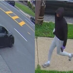 Brinks truck employee fires back during attempted armed robbery: police
