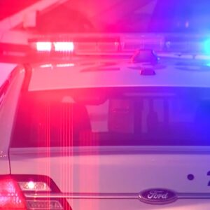 Three teens arrested in armed robbery of puppy in Lincoln, police say