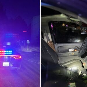 Kidnapping, beating in Thurston County drug deal gone wrong