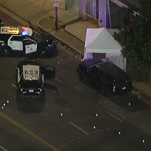 Los Angeles police officer shoots and kills robbery suspect in Hyde Park